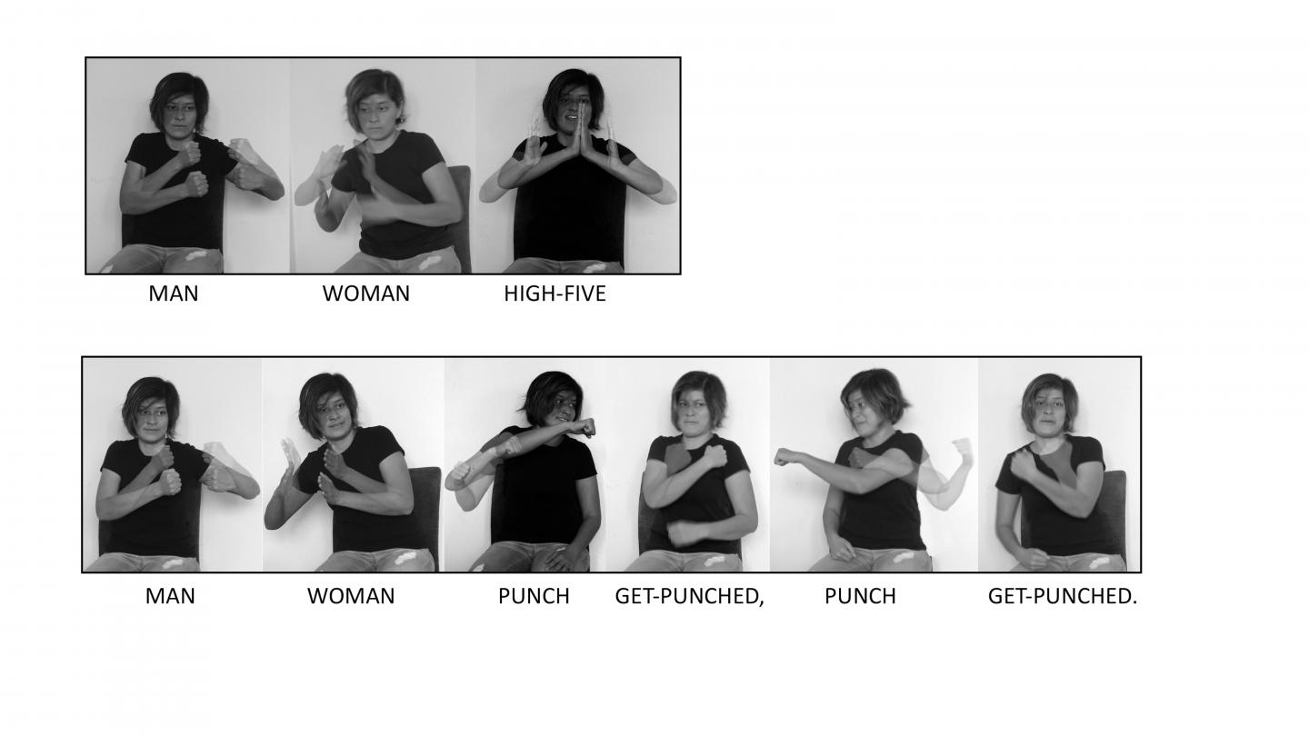 Symmetrical (high-fiving) and reciprocal (punching) sentences show distinct linguistic forms