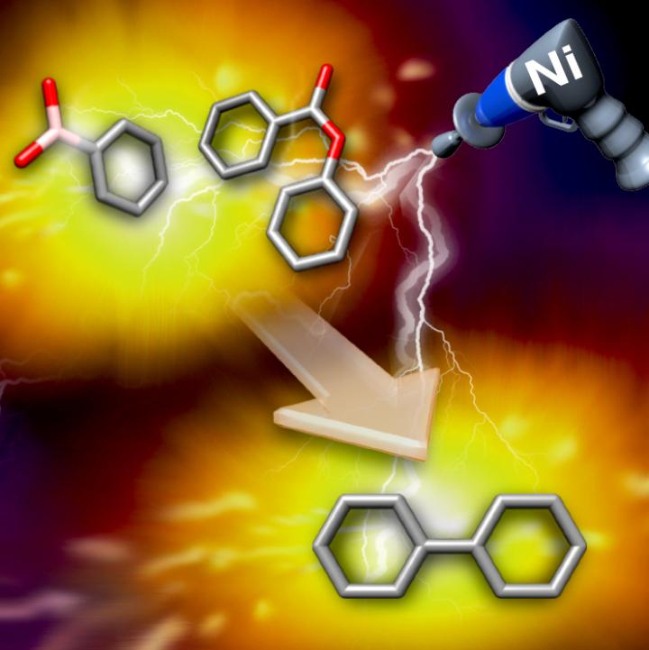 Nickel-Catalyzed Cross-Coupling Reaction