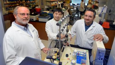 Drs. Andrew Mellor, Lei Huang and Henrique Lemos, Medical College of Georgia