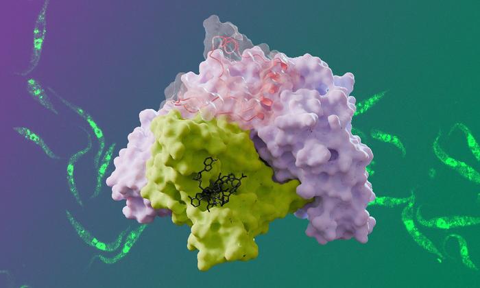 Structural insights reveal drug target in trypanosome parasites