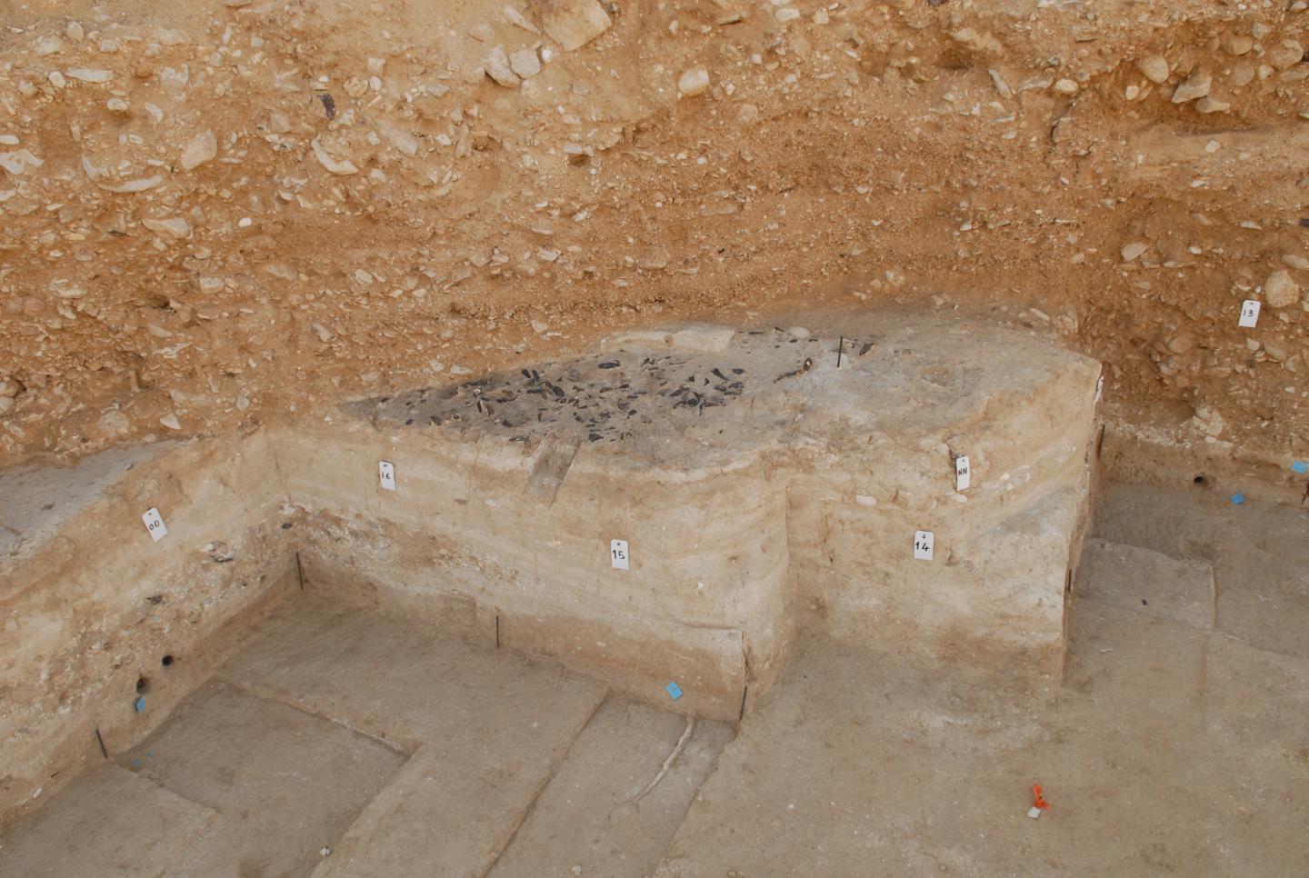 Archaeological surface in Boker Tachtit