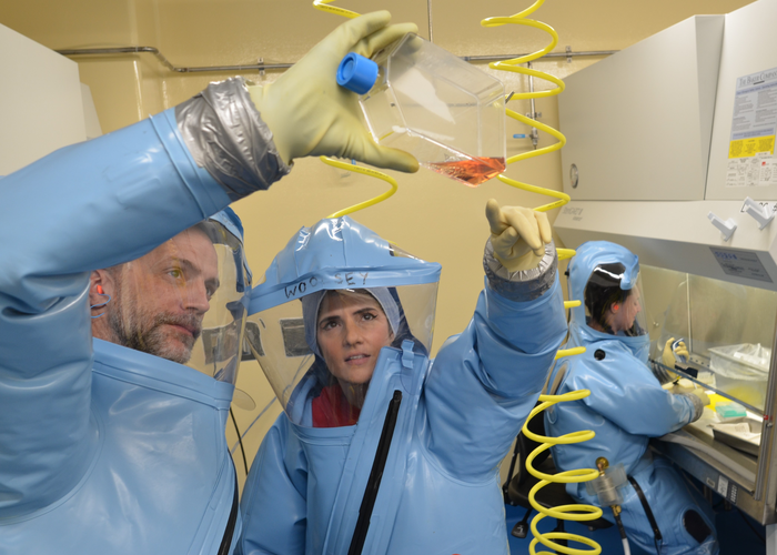 UTMB Scientists work on new Lassa Virus vaccine in BSL4 lab in Galveston, Texas