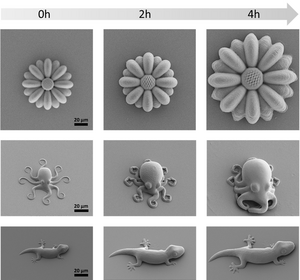 Microscopic octopuses from a 3D printer