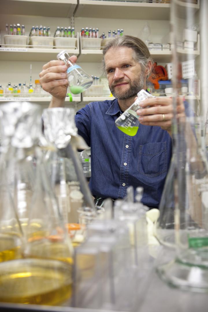 Ken Stedman, Portland State University