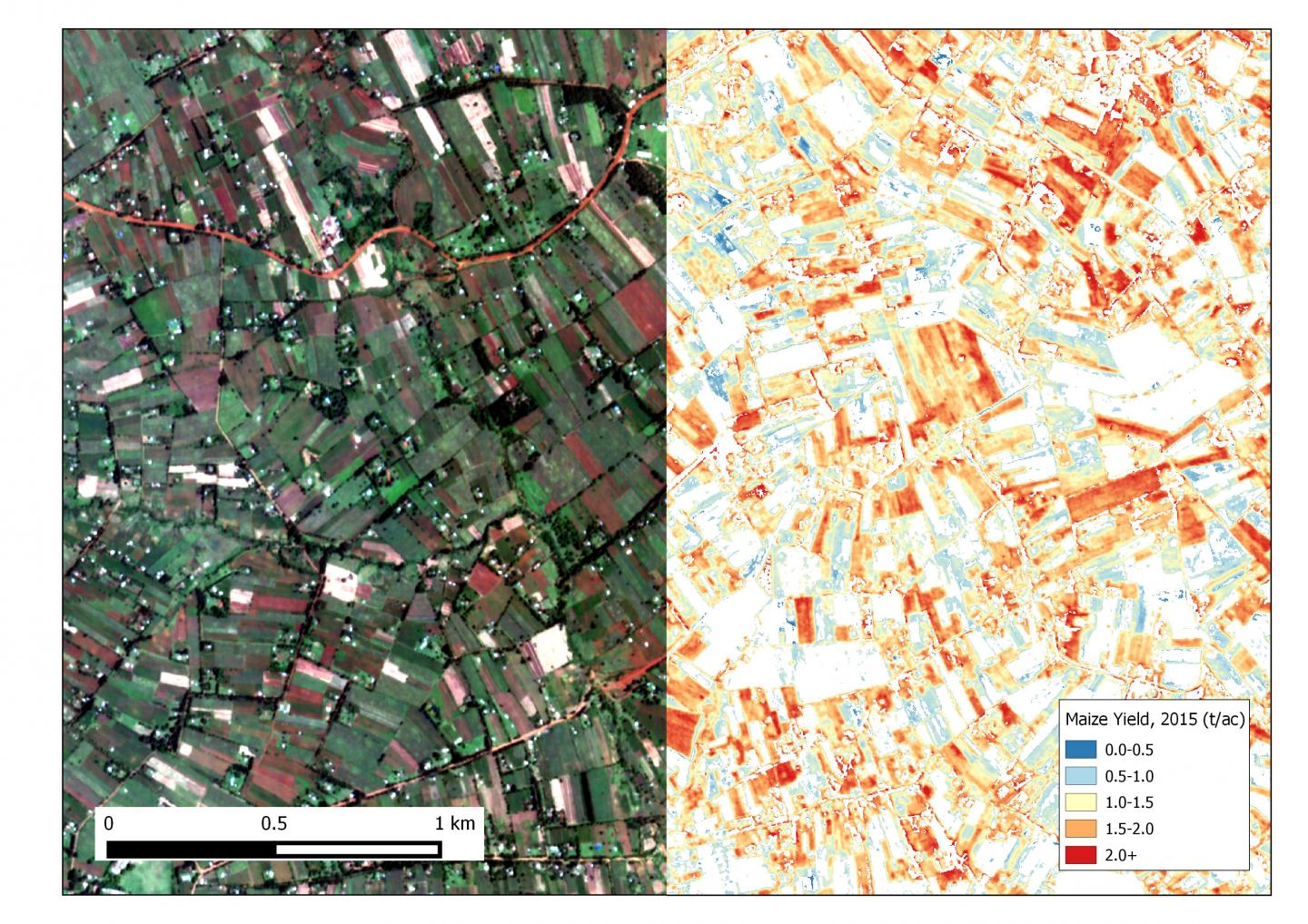Satellite Yield Estimates