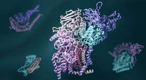 3D computed structural modeling of protein interactions