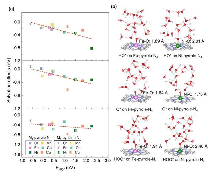 Analyses of solvation effects on the adsorption energies of HO, O, and HOO