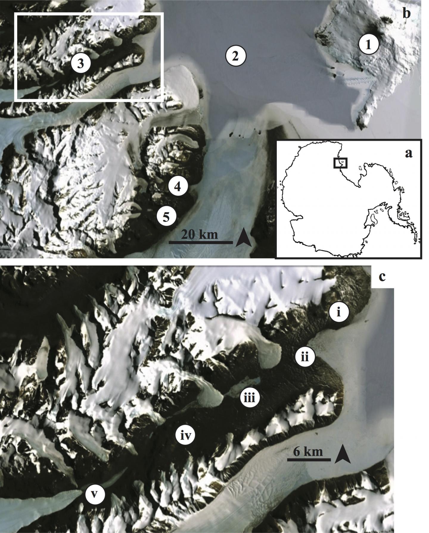 Map of Study Locations on the Antarctic Continent