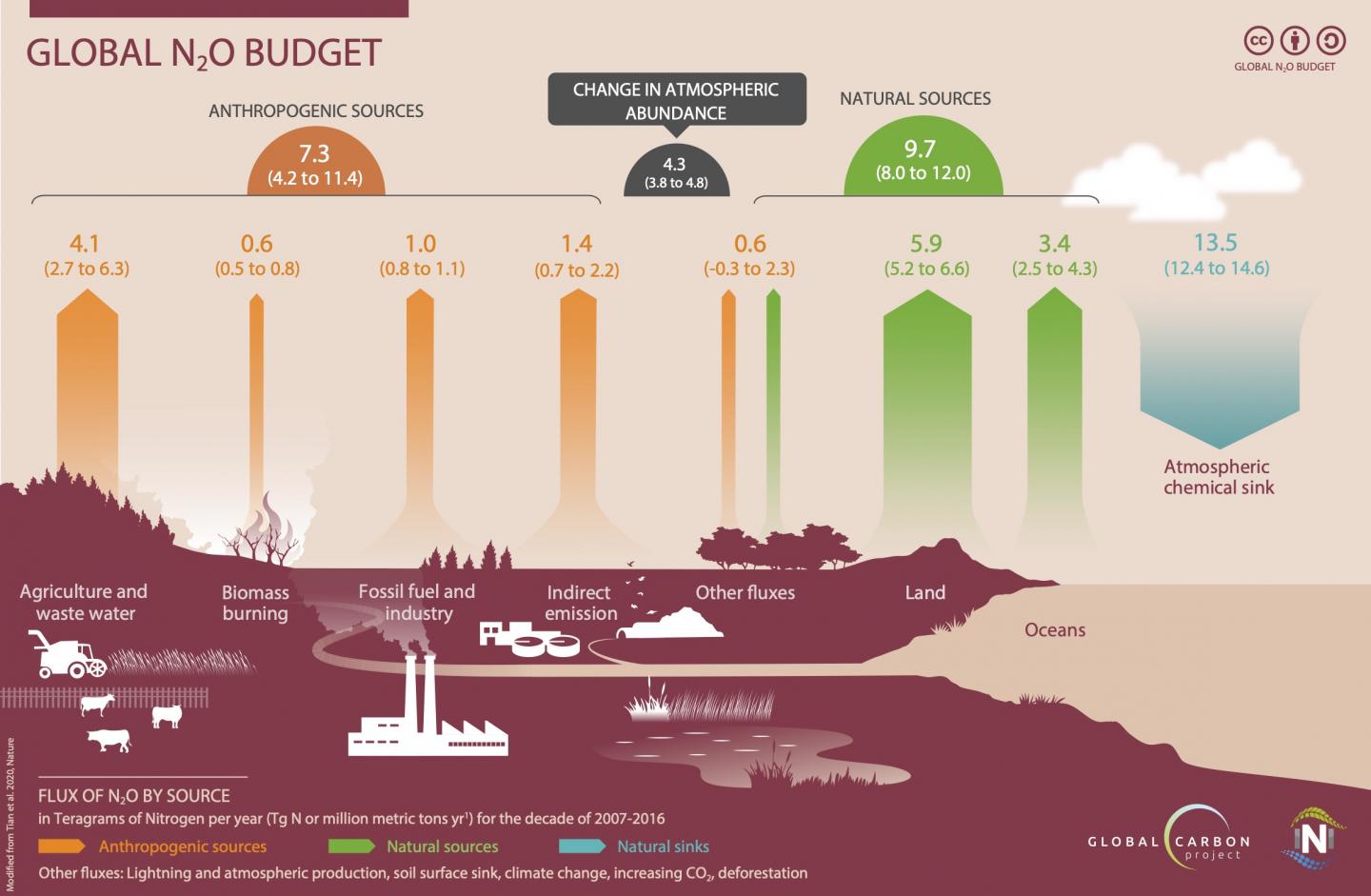 Nitrous Oxide Budget