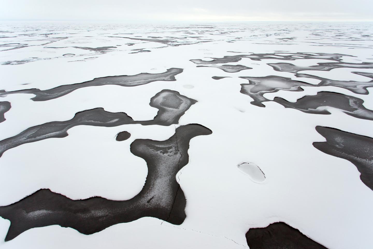 Materials from Arctic Shelves are Changing the Water's Composition (4 of 6)