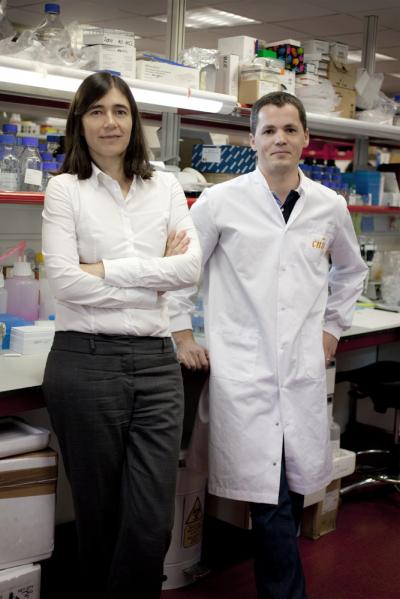 Maria A. Blasco and Bruno M. Bernardes de Jesus, Centro Nacional de Investigaciones Oncologicas