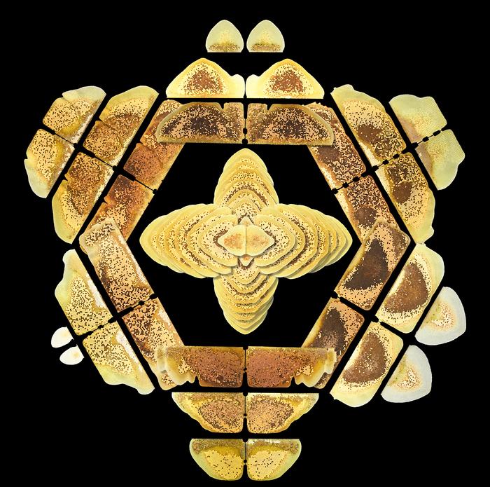 Honey bees secretly stockpile structures symmetrically, Featured Image 4