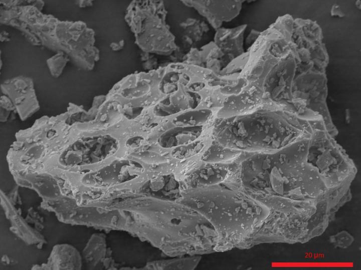 Image of an Ash Particle from the Mt. St. Helens Volcanic Eruption of 1980