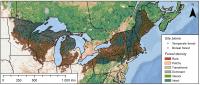 In Eastern US and Canada, Older Forests Resist Climate Change