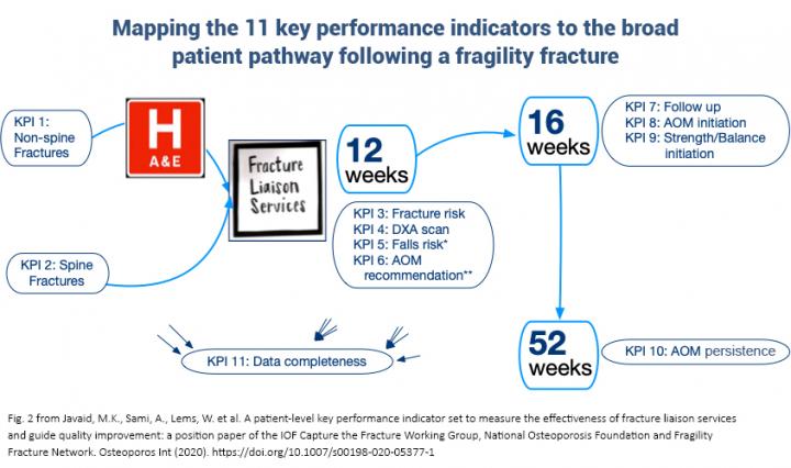 Mapping the 11 key performance indicators to the broad patient pathway following a fragility fracture