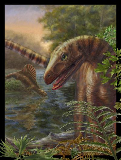 <i>Asilisaurus kongwe</i>
