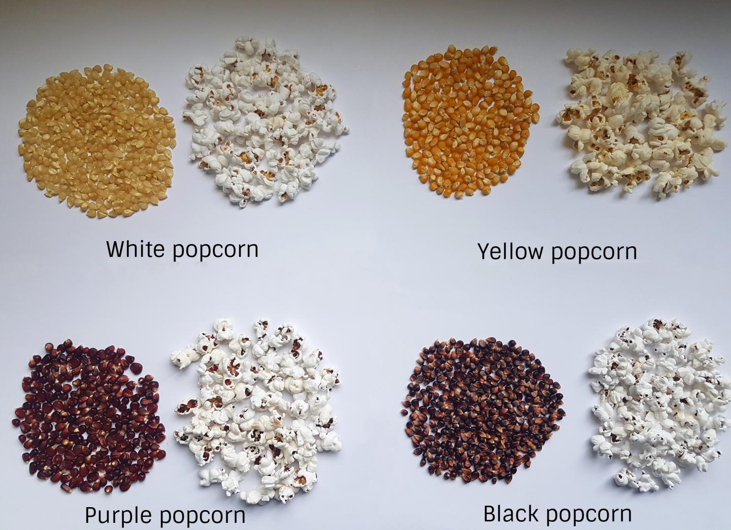 Popcorn types