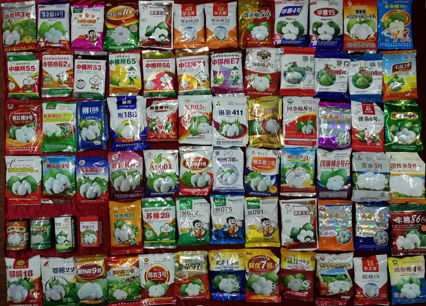 Seed Packages for Sale