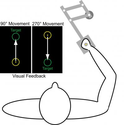 Illustration of Experimental Paradigm