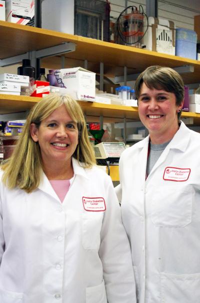 Laurie J. Goodyear, Ph. D., and Kristin I. Stanford, Ph, D., Joslin Diabetes Center