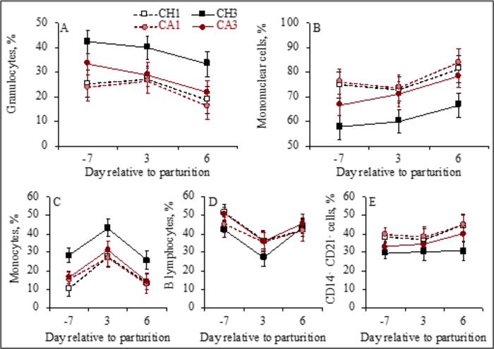 Vitamin D supplement may enhance dairy cows’ immune health