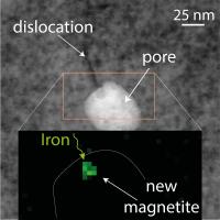 Direct Observation of Secondary Iron Transport through Microstructures in the Ancient Zircon Grain
