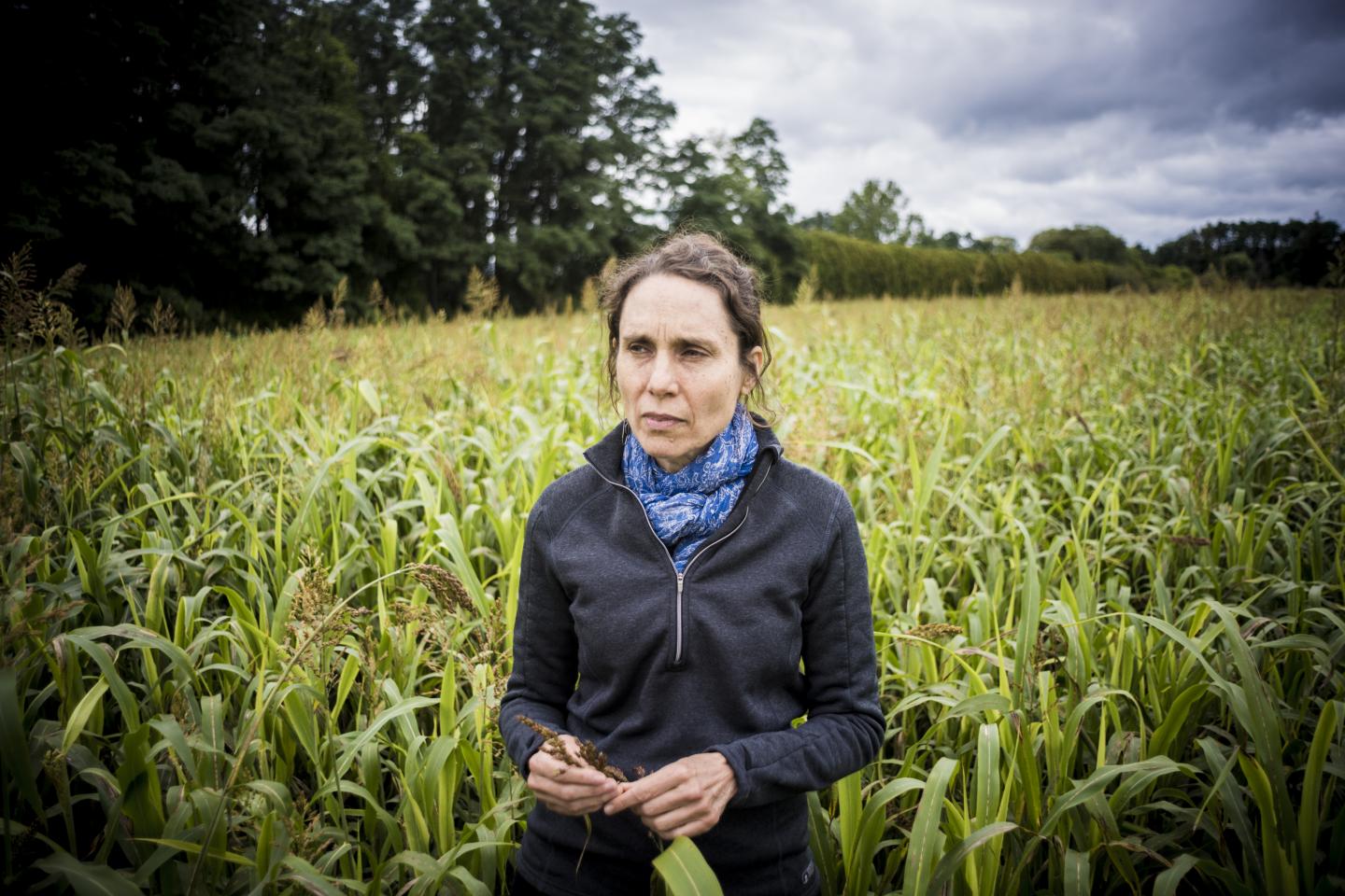 Lini Wollenberg, University of Vermont