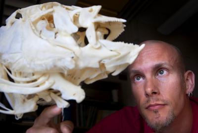 Nicolai Konow, Brown University