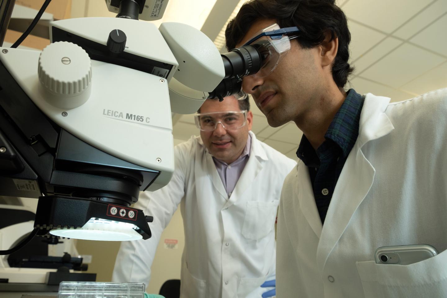 Omid Veiseh and Siavash Parkhideh, Rice University