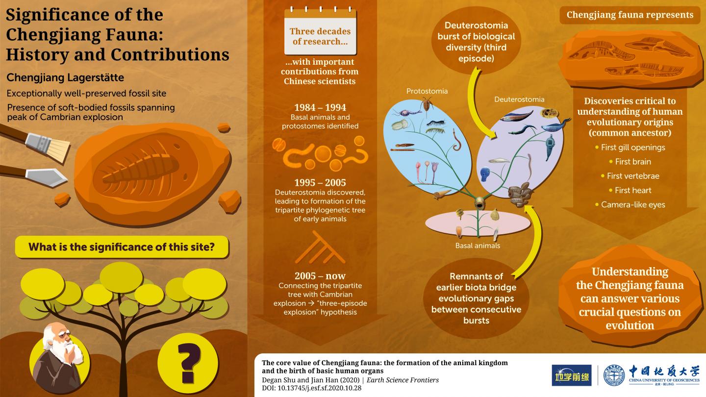 Evolution of Animals and History of Evolution of Earth