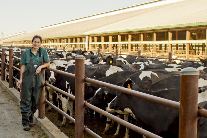 Shannon Manning, Michigan State University