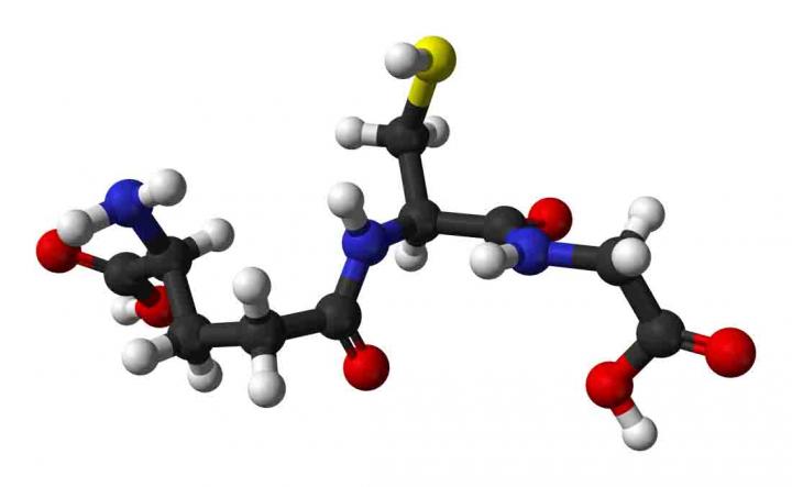 Structure of Glutathione