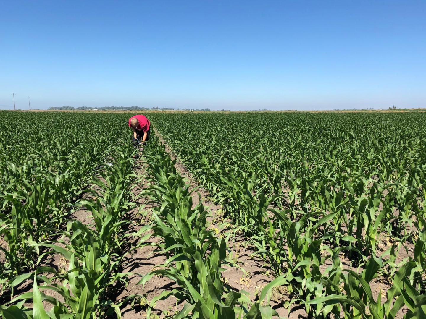 Agricultural Land Management