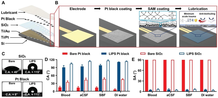 Design, fabrication process, and characterization of LIPS