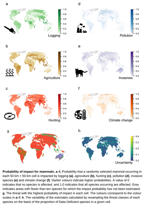 Probability of impact for mammals