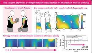 Researchers use bull’s-eye electrodes to better understand muscle coordination regardless of the direction of muscle fibers