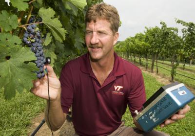 Tony Wolf, Virginia Tech