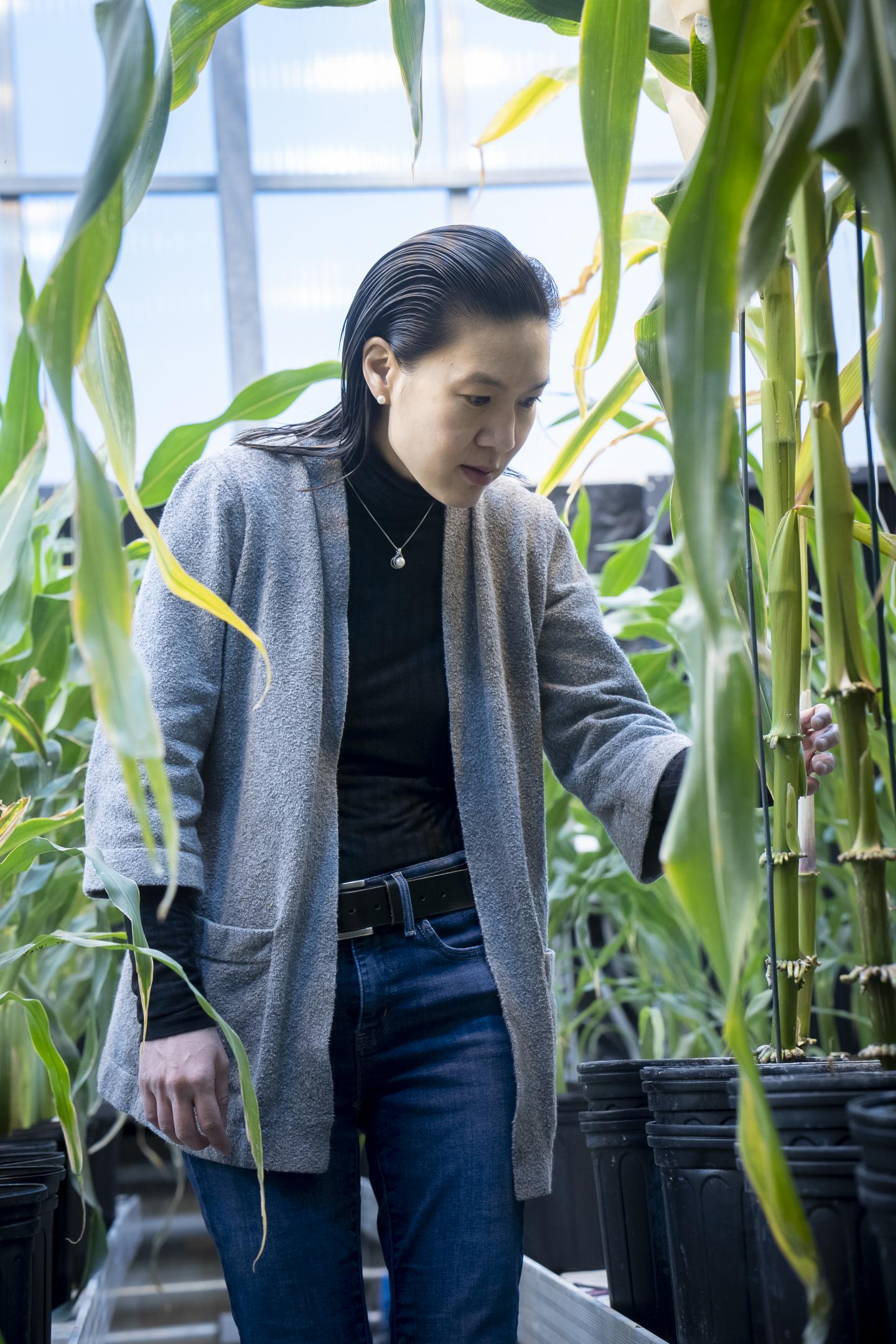 Inari CEO in Greenhouse