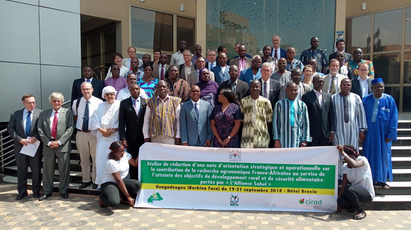 Participants in the Workshop Held to Draft the Ouagadougou Declaration de Ouagadougou