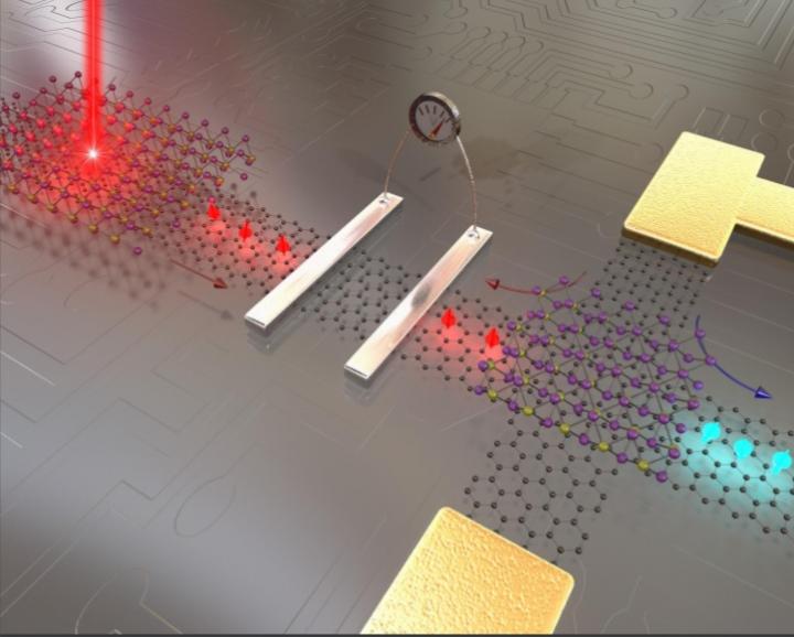 Graphene Spintronics