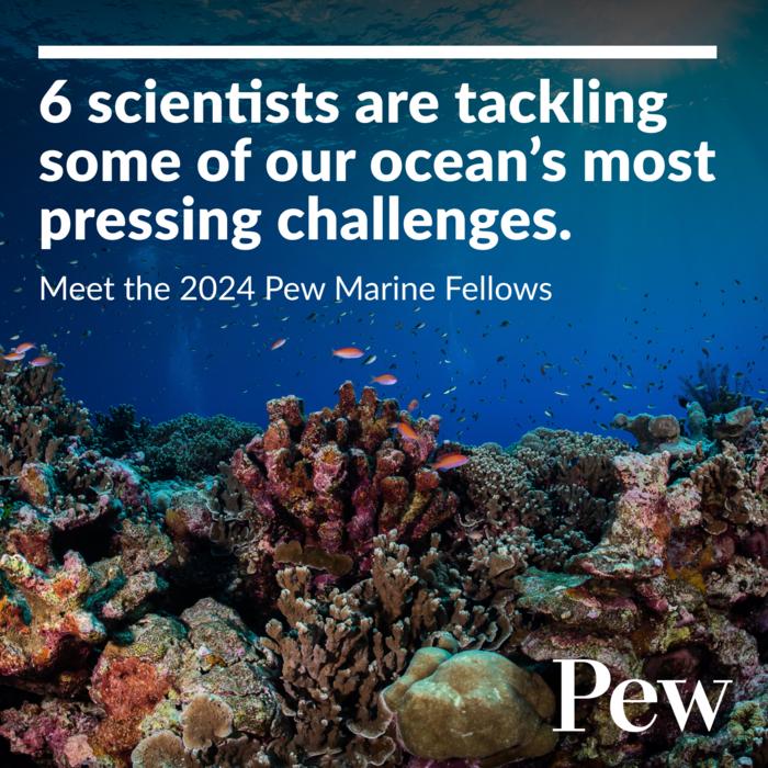 6 scientists are tackling some of our ocean's most pressing challenges