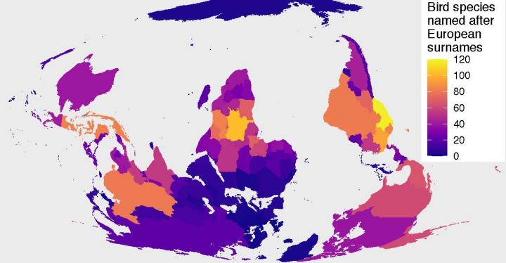 Minimum estimated number of bird species for which the Latin binomial name is based on a European person per country