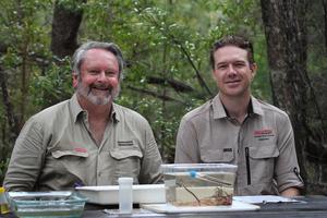 David Moffatt and Dr Luke Carpenter-Bundhoo with a small tank of Australian brook lamprey.