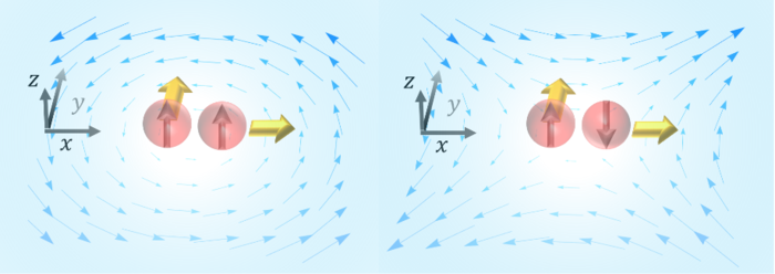 left: the polarization induced by the vortical flow; right: the polarization induced by the shear flow.