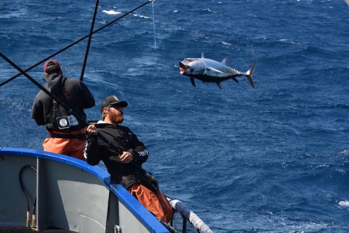 How Fishermen Have Adapted to Change Over the Past 35+ Years