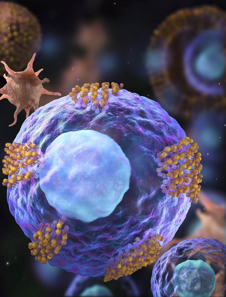 Decorated Cardiac Stem Cell