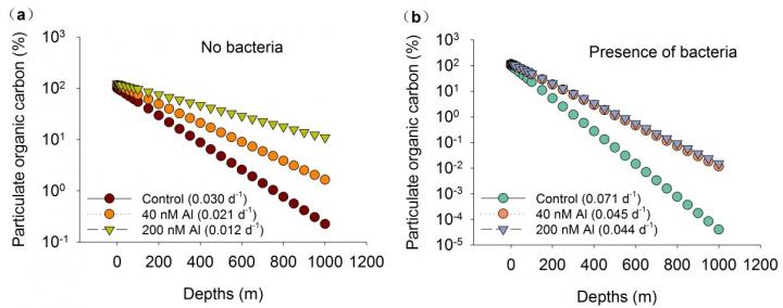 Estimated effects of aluminum on the export of particulate organic carbon to ocean depths