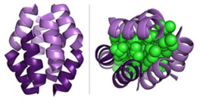 Beta-Bundles -- Ribbon Diagram Representations of a Beta-Peptide Bundle