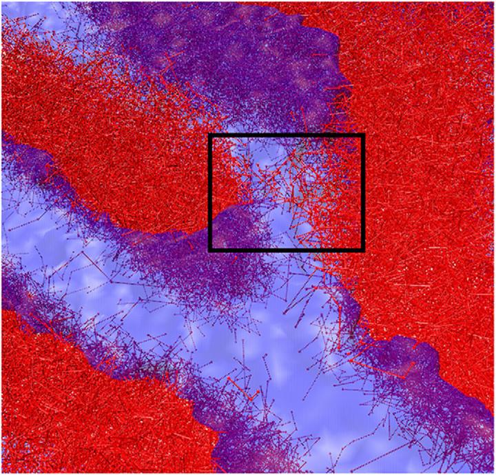 First Transition State