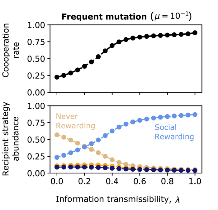 Results from evolutionary simulations